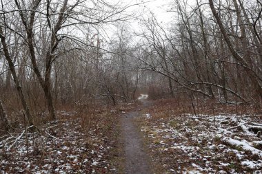 Kış ormanlarında yol, kışın ilk günü.