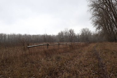 Kış ormanlarında yol, kışın ilk günü.