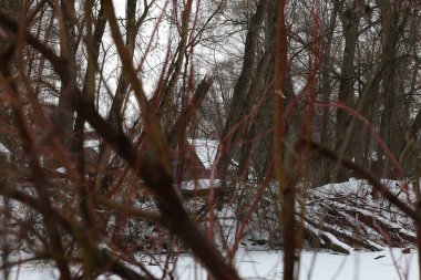 Kış ormanından köye manzara