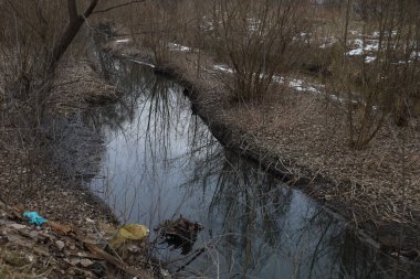 Chernihiv 'deki Strizhen Nehri