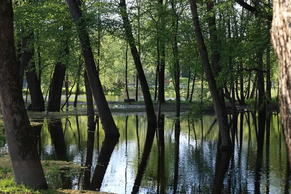 Chernihiv şehrinde sel basmış plaj.