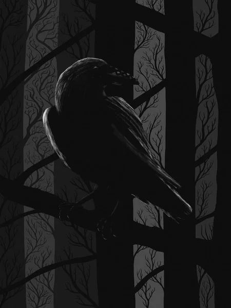 Raven Mitologia Escandinava Ilustração Escura Huginn Muninn — Fotografia de Stock