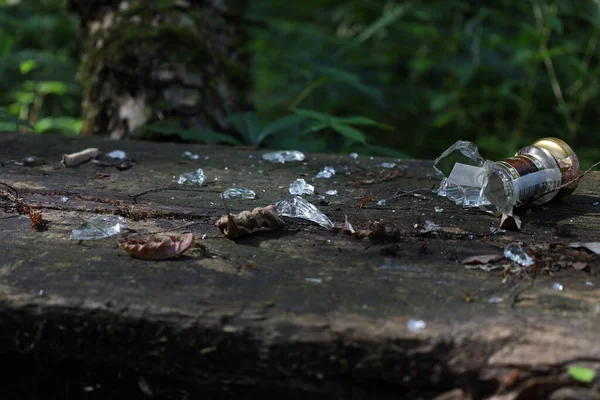 Rozbita Szklana Butelka Parku Miejsce Spoczynku Lesie — Zdjęcie stockowe