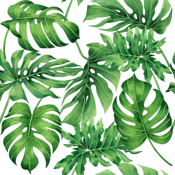 Aquarel Schilderen Tropische Monstera Palmblad Groen Laat Naadloos Patroon Achtergrond — Stockfoto