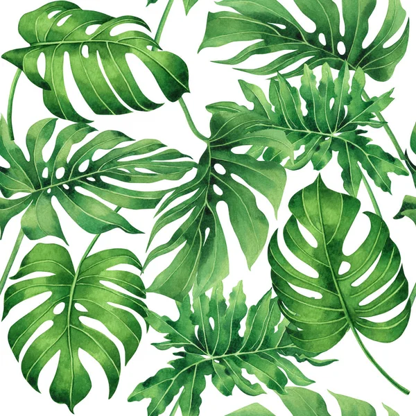 Aquarela Pintura Tropical Monstera Folha Palma Verde Deixar Sem Costura — Fotografia de Stock