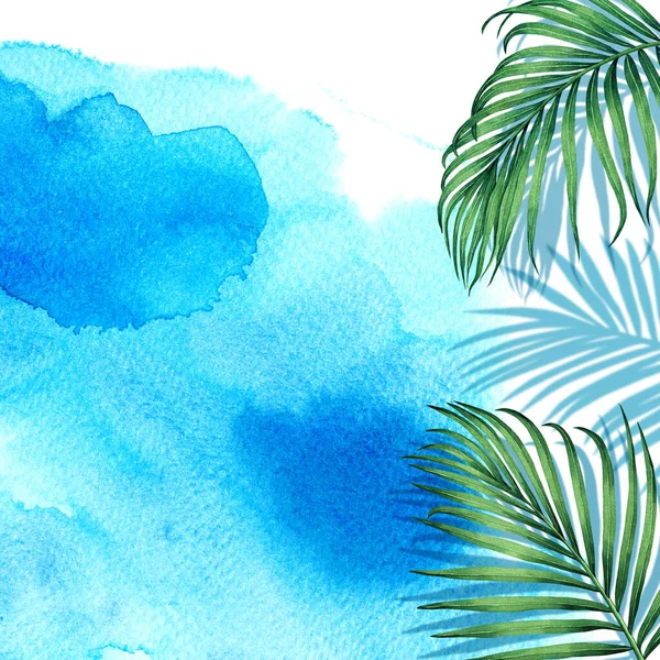 Akvarel Malba Rám Kokosové Listy Palmy Zelený List Stínem Modrém — Stock fotografie