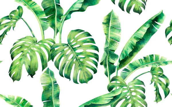 Suluboya renkli ağaç palmiyesi, canavar desensiz arkaplan bırakır. Suluboya el, duvar kâğıdı için tropik egzotik yaprak baskıları çizer. Tekstil Hawaii aloha ormanı deseni..