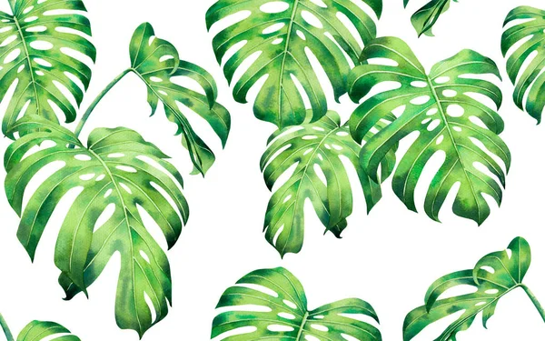 Aquarela Pintura Colorida Árvore Palma Monstera Folhas Sem Costura Padrão — Fotografia de Stock