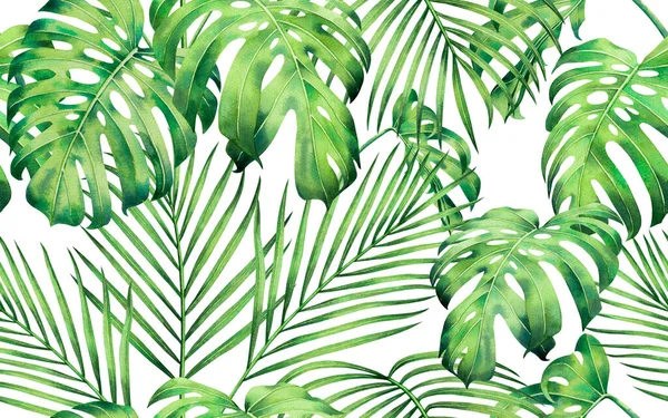 Aquarela Pintura Colorida Árvore Palma Monstera Folhas Sem Costura Padrão — Fotografia de Stock