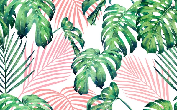 Suluboya renkli ağaç palmiyesi, canavar desensiz arkaplan bırakır. Suluboya el, duvar kâğıdı için tropik egzotik yaprak baskıları çizer. Tekstil Hawaii aloha ormanı deseni..