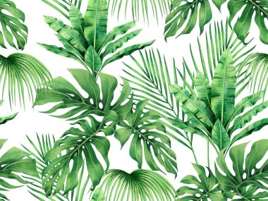 Suluboya canavarlar, hindistan cevizi, muz yaprakları pürüzsüz arkaplan desenleri. Duvarkağıdı için suluboya el çizimi tropikal egzotik yaprak baskıları, tekstil Hawaii aloha orman desenleri..