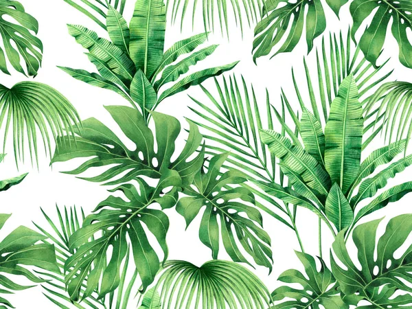 Suluboya canavarlar, hindistan cevizi, muz yaprakları pürüzsüz arkaplan desenleri. Duvarkağıdı için suluboya el çizimi tropikal egzotik yaprak baskıları, tekstil Hawaii aloha orman desenleri..