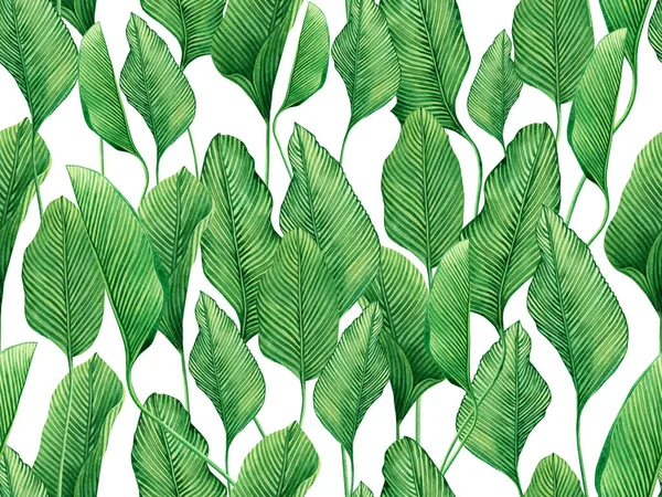 白色背景上的水彩画绿叶无缝图案 水彩画手绘热带奇异叶色图案 用于壁纸 纺织品夏威夷芦荟丛林图案 — 图库照片