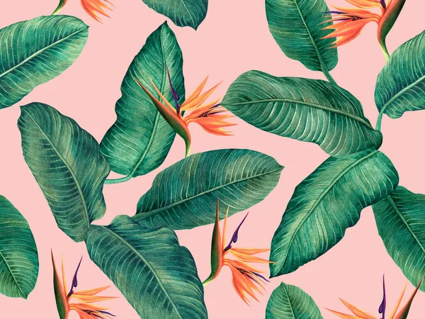 Yeşil yapraklı suluboya cennet kuşu arkaplanı. Suluboya el, duvar kâğıdı için tropikal egzotik yaprak baskıları çizmiş. Tekstil Hawaii aloha orman deseni..