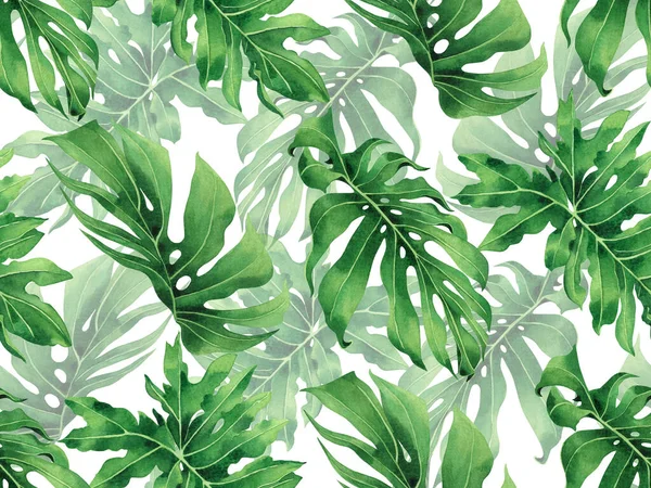 Watercolor Painting Monstera Leaves Seamless Pattern White Background Watercolor Hand — Stock Photo, Image