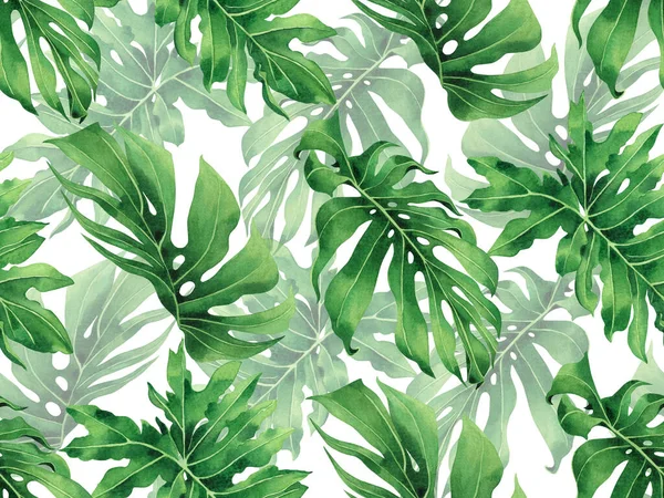 Suluboya, beyaz arka planda kusursuz desenler bırakır. Suluboya el, duvar kağıdı için tropikal egzotik yaprak baskıları çizer. Tekstil Hawaii aloha orman deseni..
