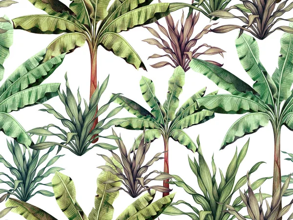 水彩画五彩斑斓的树 棕榈叶无缝图案背景 水彩画热带奇异叶印墙纸 纺织品夏威夷芦荟丛林图案 — 图库照片