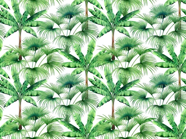 Watercolor Painting Tree Banana Palm Leaves Seamless Pattern White Background — Stock Photo, Image