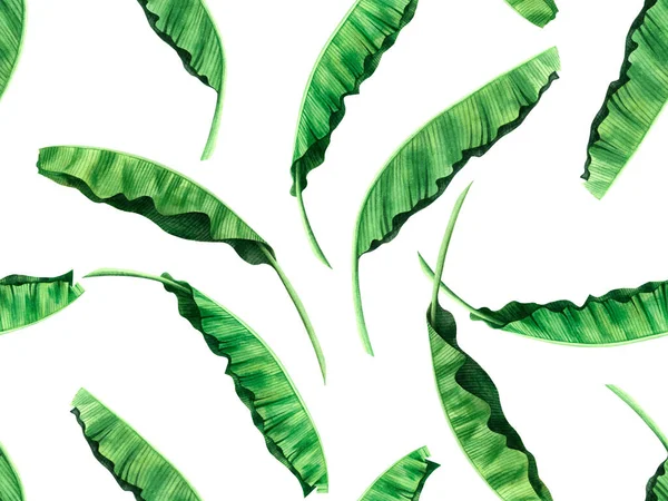 바나나 페인팅은 백지위에 바다없는 패턴을 남긴다 손으로 이국적 나뭇잎 프린트 — 스톡 사진