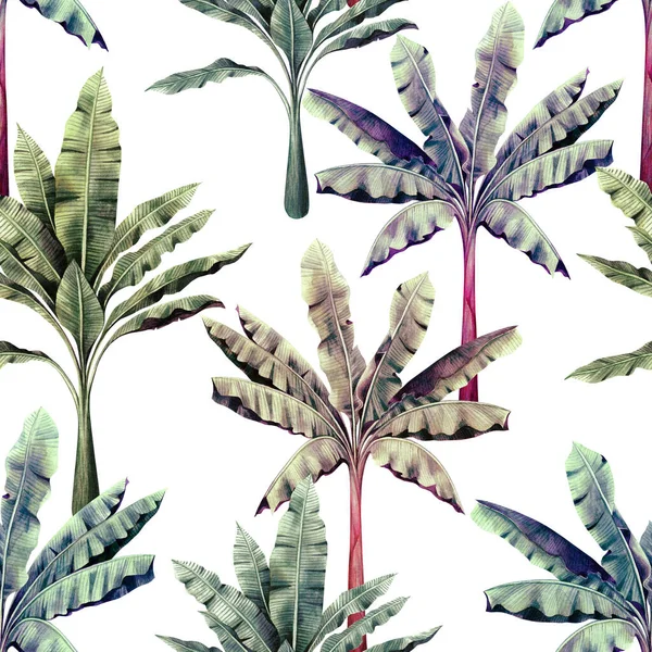 水彩画树 香蕉叶在白色背景上无缝图案 水彩画手绘热带奇异叶印墙纸 纺织品夏威夷芦荟丛林图案 — 图库照片