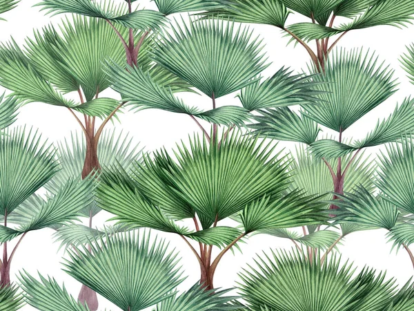 Watercolor Painting Tree Coconut Palm Leaf Green Leaves Seamless Pattern — стокове фото