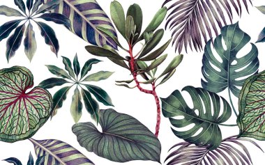 Suluboya renkli tropikal yaprak, yeşil iz bırakmayan arka plan. Suluboya el, duvar kâğıdı için tropik egzotik yaprak baskıları çizmiş. Tekstil Hawaii aloha yaz tarzı.
