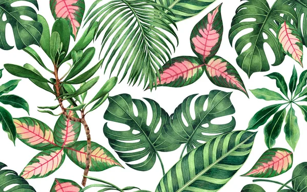 수채화의 야자수 녹색은 바다없는 패턴을 배경으로 손으로 이국적 나뭇잎 프린트 — 스톡 사진