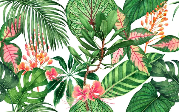 Aquarela Pintura Colorido Tropical Folha Palma Verde Folhas Sem Costura — Fotografia de Stock