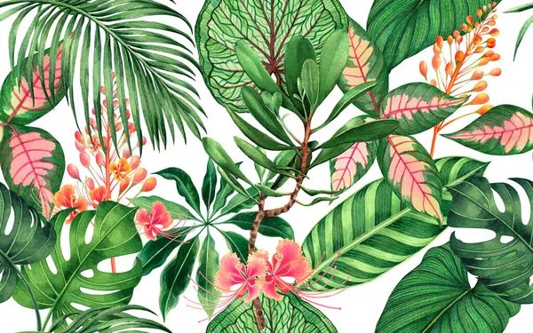 Suluboya renkli tropikal palmiye yaprağı, yeşil yapraklar pürüzsüz arkaplan çizimi. Duvarkağıdı için suluboya el çizimi tropikal egzotik yaprak baskısı, tekstil Hawaii aloha orman tarzı.