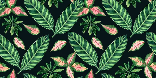 水彩画色彩艳丽的热带树叶 绿叶无缝图案背景 水彩画图解热带奇异叶色墙纸 夏威夷罗哈纺织品夏装风格 — 图库照片