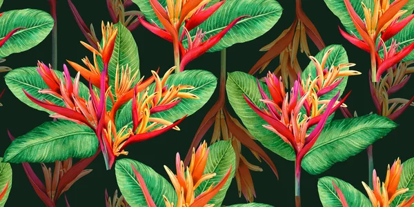Watercolor Painting Bird Paradise Blooming Flowers Colorful Seamless Pattern Dark — Stok fotoğraf