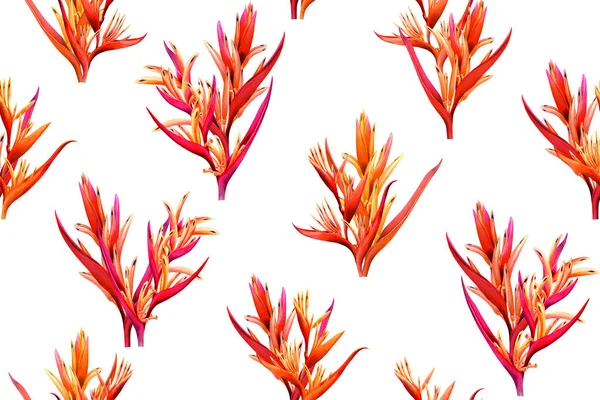 Watercolor Painting Bird Paradise Blooming Flowers Colorful Seamless Pattern White Stock Kép