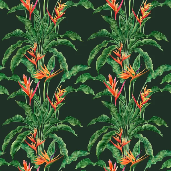 Watercolor Painting Bird Paradise Blooming Flowers Colorful Seamless Pattern Dark — Stock Photo, Image