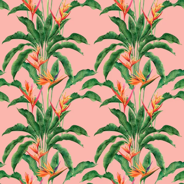 Watercolor Painting Bird Paradise Blooming Flowers Colorful Seamless Pattern Dark — 스톡 사진