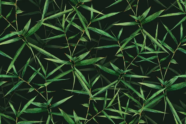 Aquarela Pintura Bambu Verde Folhas Sem Costura Padrão Escuro Background Fotos De Bancos De Imagens Sem Royalties
