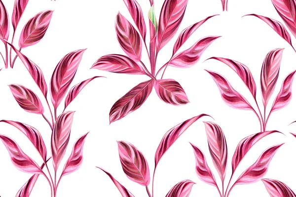 Akvarell Festés Színes Trópusi Rózsaszín Levelek Zökkenőmentes Minta Háttér Akvarell — Stock Fotó