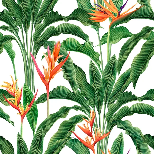 Watercolor Painting Bird Paradise Blooming Flowers Colorful Seamless Pattern Dark — Foto Stock