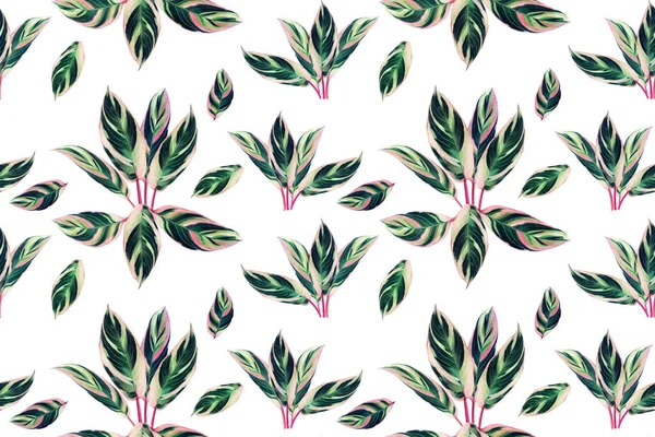 Aquarellmalerei Bunte Tropische Rosa Blätter Nahtlose Muster Background Watercolor Handgezeichnete — Stockfoto
