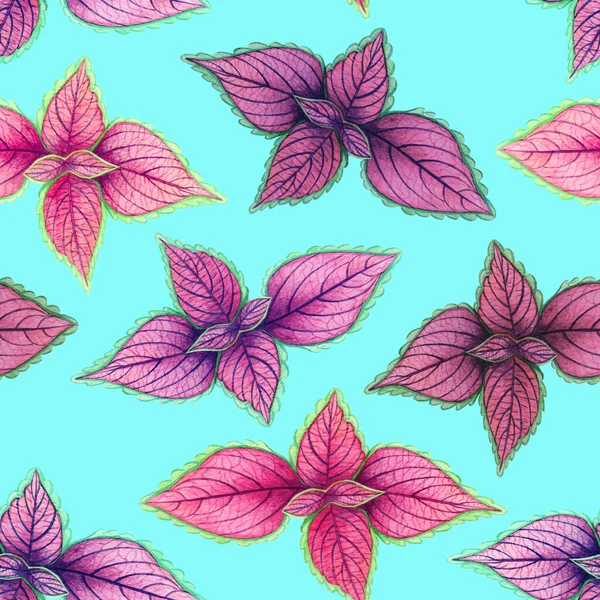 Watercolor painting colorful tropical leaf,pink leave seamless pattern background.Watercolor hand drawn illustration tropical exotic leaf prints for wallpaper,textile Hawaii aloha summer style.