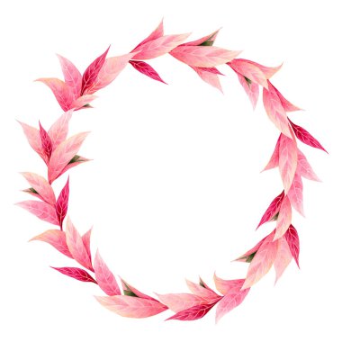 suluboya çerçeve rengarenk, beyaz arkaplanda pembe yapraklar. Suluboya el çizimi duvar kağıdı, arka plan, düğün kartı, Hawaii tarzı tropikal yaprak.