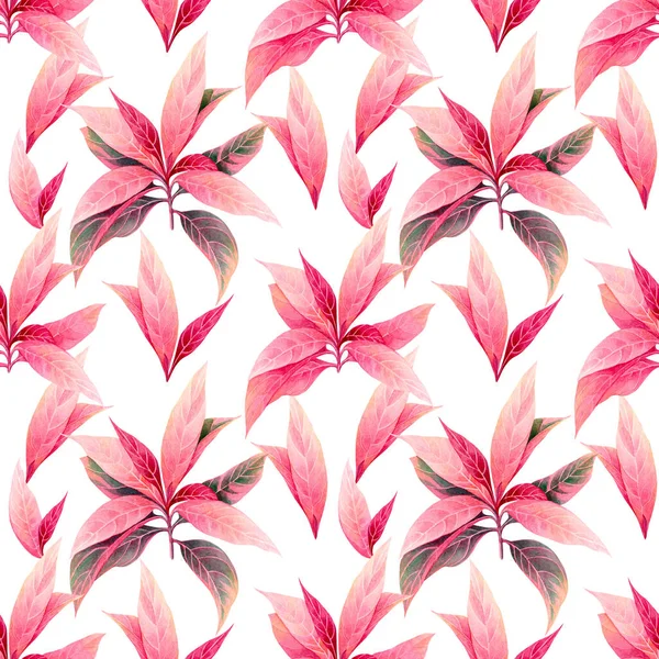 Υδατογραφία Ζωγραφική Πολύχρωμα Τροπικά Φύλλα Ροζ Αφήσει Αδιάλειπτη Μοτίβο Φόντο — Φωτογραφία Αρχείου