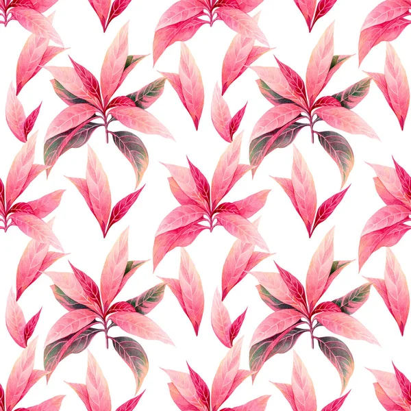 Aquarelle Peinture Feuille Tropicale Colorée Rose Laisser Fond Motif Sans — Photo