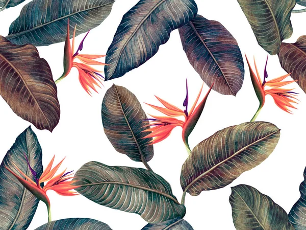 Watercolor painting bird of paradise with colorful leaves seamless pattern background.Watercolor hand drawn illustration tropical exotic leaf prints for wallpaper,textile Hawaii aloha jungle pattern.