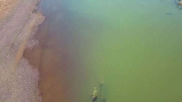 Türkisfarbenes Wasser mit Krokodilen in der Nähe des Bergwaldparks im westafrikanischen Senegal. - Aerial Tilt-Up Shot — Stockvideo