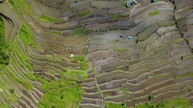 Filipinler, Ifugao 'daki ünlü Banaue Rice Terasları ile çevrili küçük bir topluluk. hava aracı