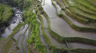 Güzel Banaue Rice Terasları Luzon, Phillipines - hava