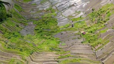 Ünlü Batad, Filipinler 'deki Cordillera' da Banaue Rice Terasları. - Hava.