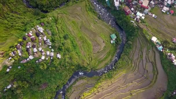 Vue du dessus des terrasses de riz Banaue. Attraction touristique célèbre dans les montagnes de Banaue, Ifugao. drone aérien — Video
