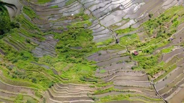 Beroemde Batad, Banaue Rice Terraces In Cordillera Of Ifugao Op de Filippijnen. - vanuit de lucht — Stockvideo