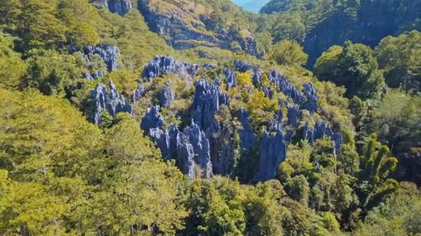 Rotsachtige kliffen met weelderige groene bomen in het bos in Sagada - Sugong opknoping Coffins In Filippijnen. - vanuit de lucht — Stockvideo